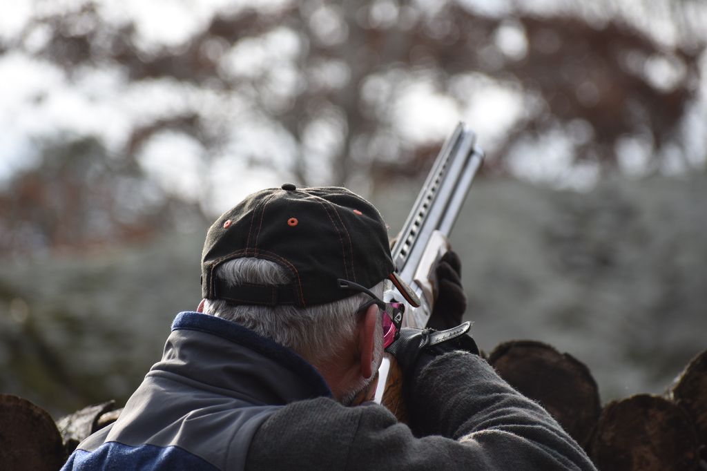 Pheasant Hunting New England The Preserve