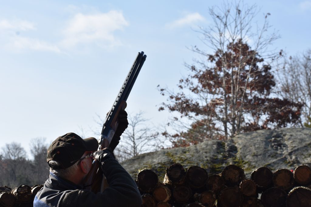 Pheasant Hunting New England The Preserve