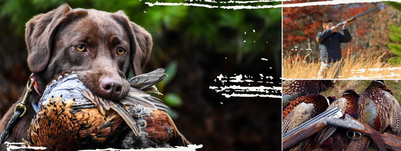 Continental Hunts