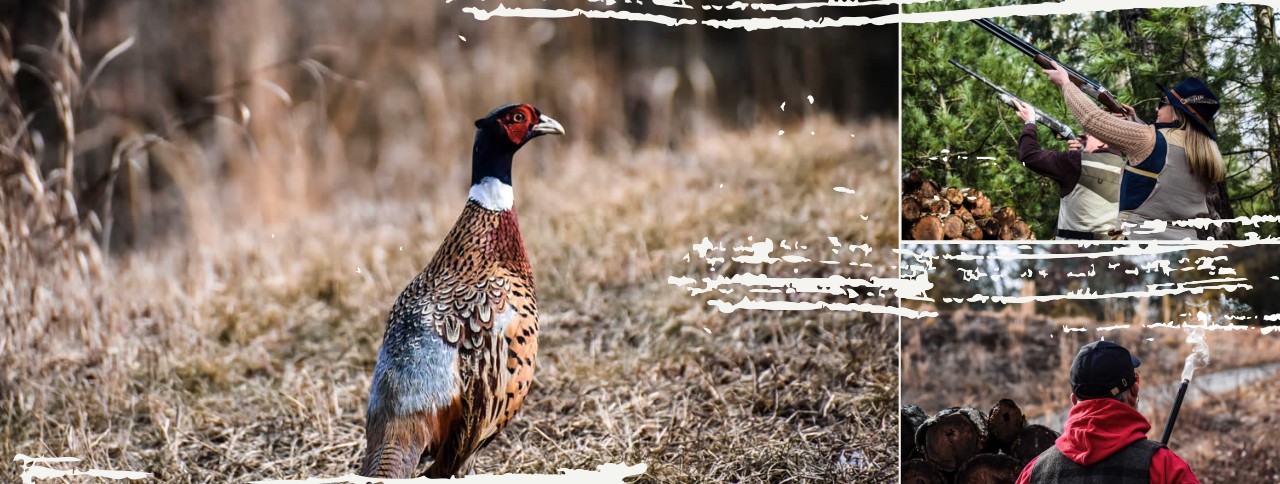 Upland Hunting